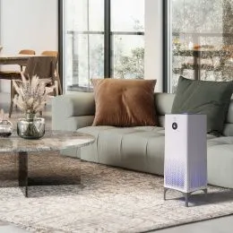 Очиститель воздуха Electrolux EAP-2075D Yin&amp;Yang